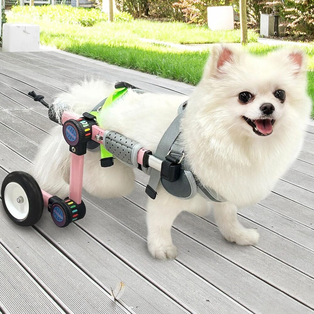 LetPetRun SMALL  Dog Wheelchair Adjustable for Back Legs for Dogs 26-44 lbs NEW